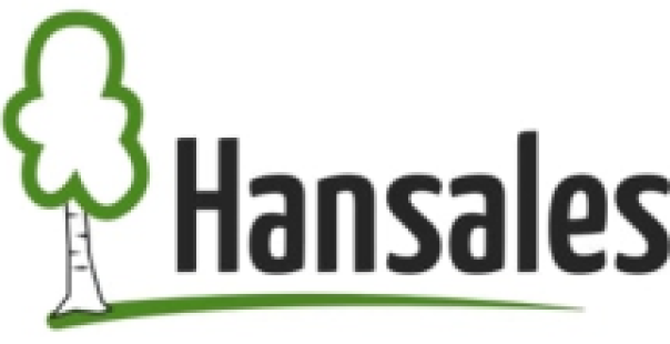 Hansales.es